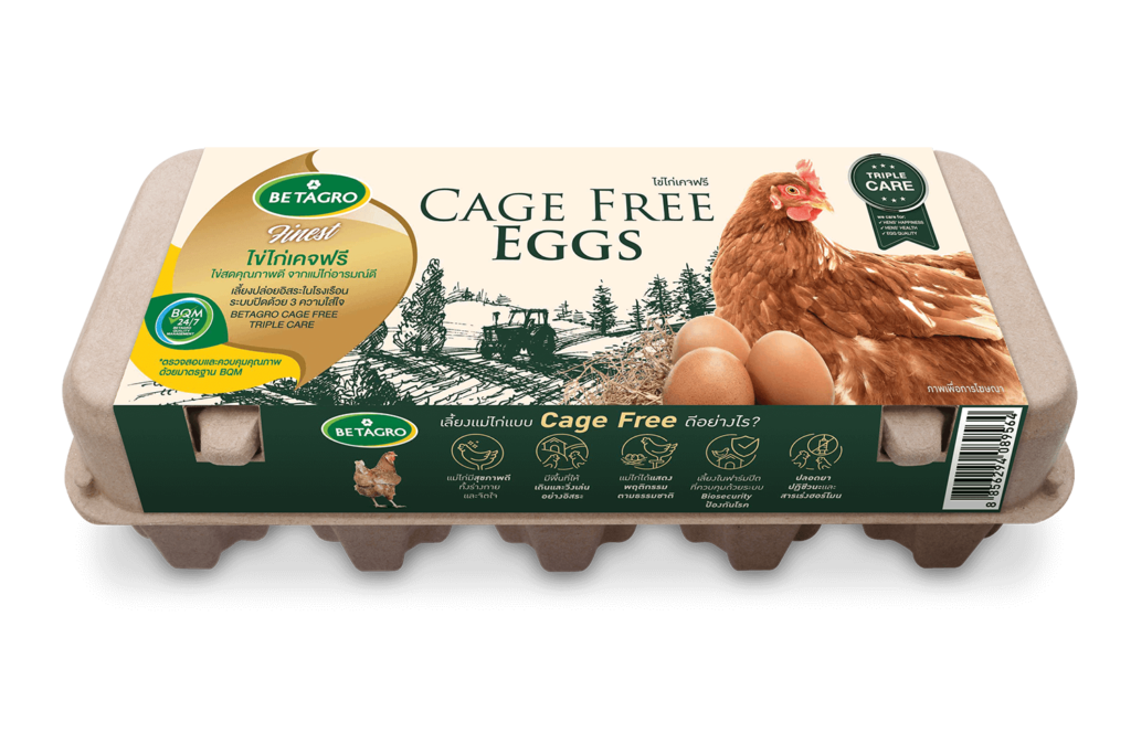 cage-free-eggs-betagro-food